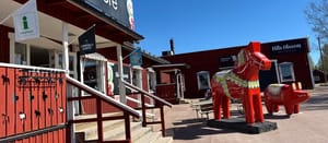 Tag 6 - Dalarna